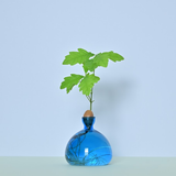 Vase en verre pour gland Cosmic | Fleux | 11