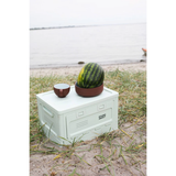 Box Studio About - Mint | Fleux | 25