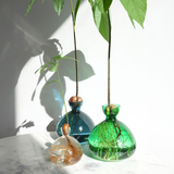 Vase en verre pour gland Cosmic | Fleux | 9