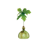 Vase en verre pour gland | Fleux | 10