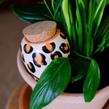 Olla natural water diffuser | Fleux | 14