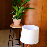 Olla natural water diffuser | Fleux | 15