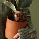 Olla natural water diffuser | Fleux | 11