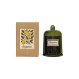 Bougie Cloche Botanique - Bergamote | Fleux | 4