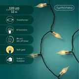 Guirlande LED Vintage 8 Fonctions Effet Clignotant Extérieur Vert/Blanc | Fleux | 10
