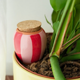 Olla natural water diffuser | Fleux | 10