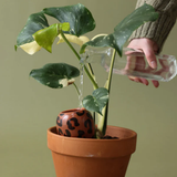 Olla natural water diffuser | Fleux | 12