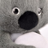 Peluche Podcoll - Koala Magnétique 30cm | Fleux | 20