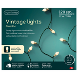 Guirlande LED Vintage 8 Fonctions Effet Clignotant Extérieur Vert/Blanc | Fleux | 17