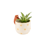 Jardinière Peeking Highland Cow | Fleux | 9