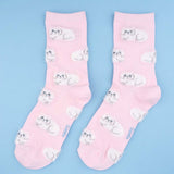 Chaussettes Chat Persan - Rose | Fleux | 9
