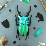 Trophee Origami Lucane Cerf Vert Caraïbes | Fleux | 3