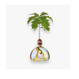 Vase en verre pour gland Cosmic | Fleux | 14