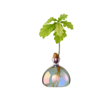 Vase en verre pour gland Cosmic | Fleux | 13