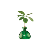 Vase en verre pour gland Cosmic | Fleux | 8