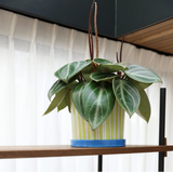 Jardinière Ray | Fleux | 7