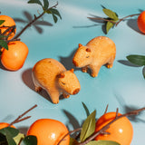 Salière & poivrière Capybara | Fleux | 3