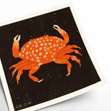 Affiche Enikő Eged - Spotted Crab - 50 x 50 cm | Fleux | 3