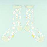 Chaussettes Transparentes 35/40 - Pâquerettes | Fleux | 4