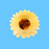 Pince à cheveux Tournesol | Fleux | 6